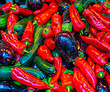 484 Peppers copy.jpg