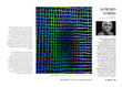 Circle Foundation Art Ideal 2025.jpg