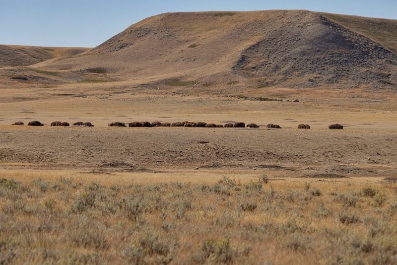 Yukon Alaska 2023 - 127 of 133(1).jpg