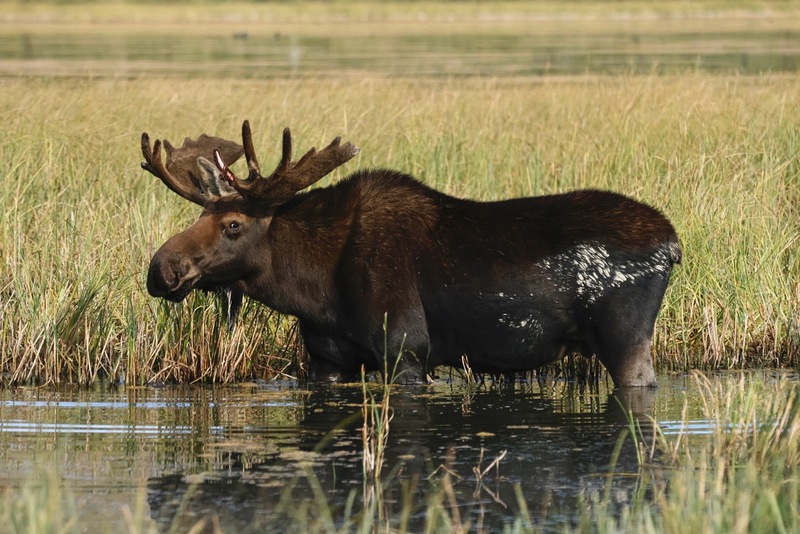 Yukon Alaska 2023 - 20 of 133.jpg