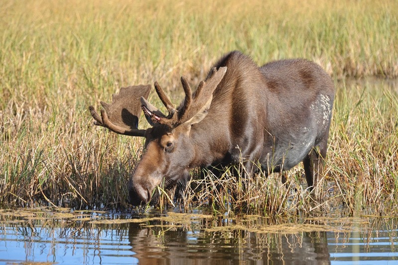 Yukon Alaska 2023 - 24 of 133.jpg