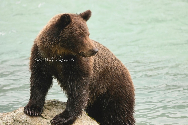 Yukon Alaska 2023 - 27 of 94.jpg