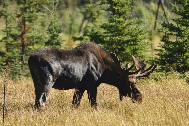 Yukon Alaska 2023 - 31 of 133.jpg