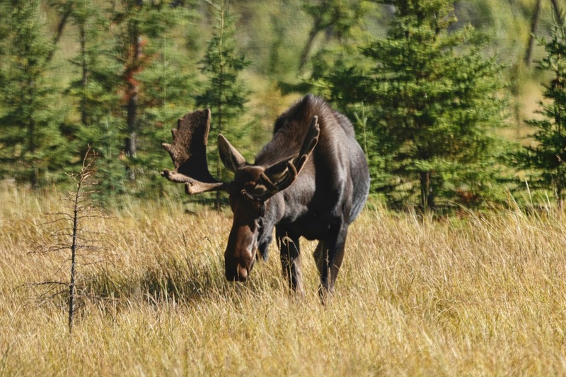 Yukon Alaska 2023 - 32 of 133.jpg