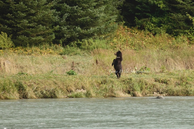 Yukon Alaska 2023 - 34 of 94.jpg