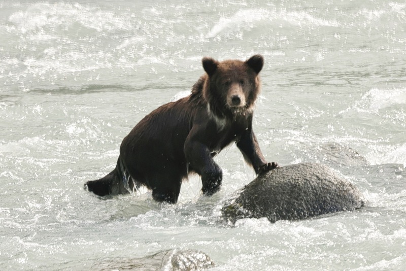 Yukon Alaska 2023 - 50 of 133.jpg