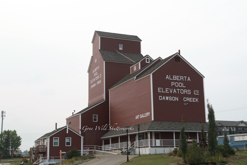 Yukon Alaska 2023 - 55 of 94.jpg