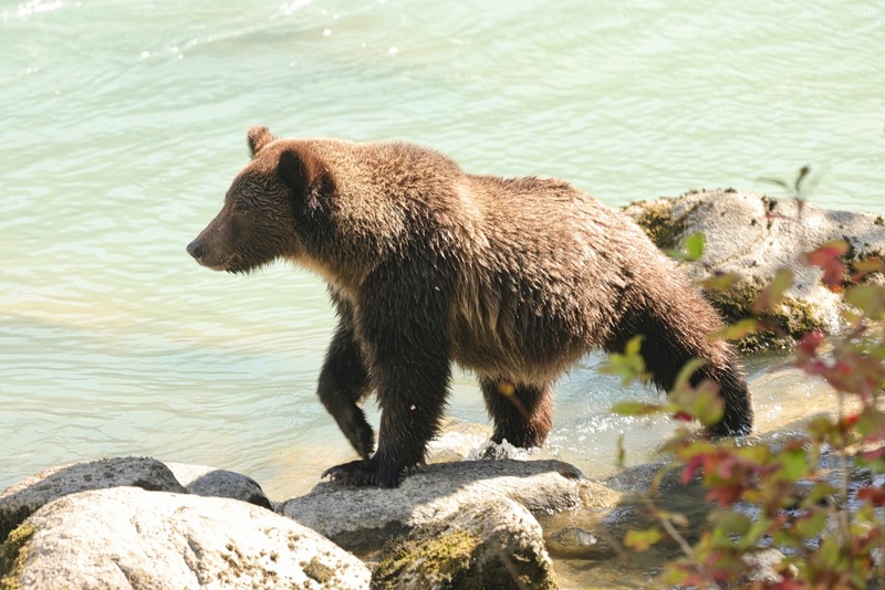 Yukon Alaska 2023 - 57 of 133.jpg