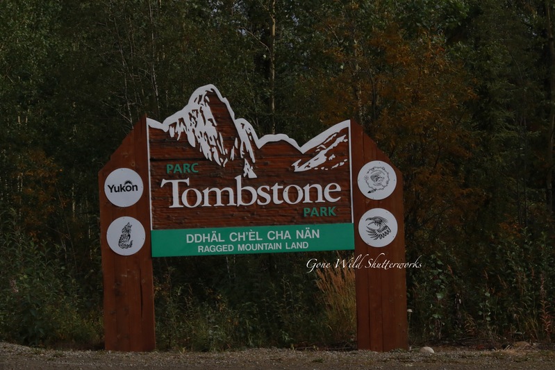 Yukon Alaska 2023 - 58 of 94(1).jpg