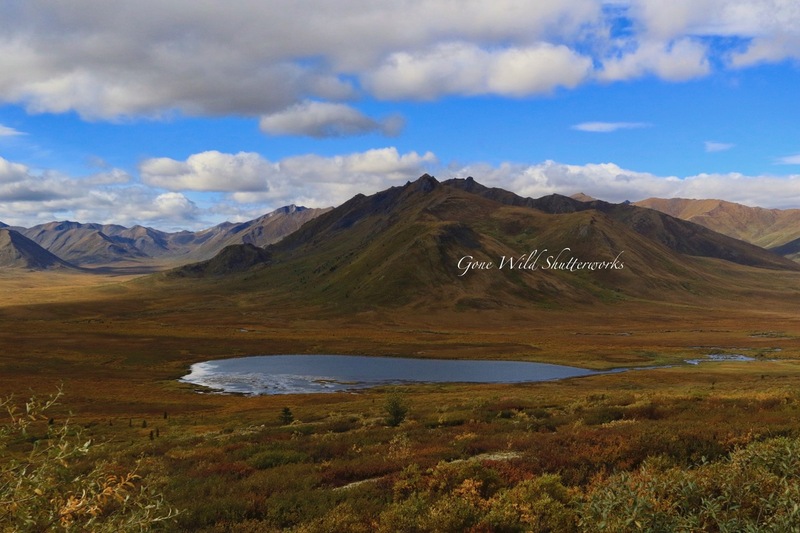 Yukon Alaska 2023 - 59 of 94.jpg