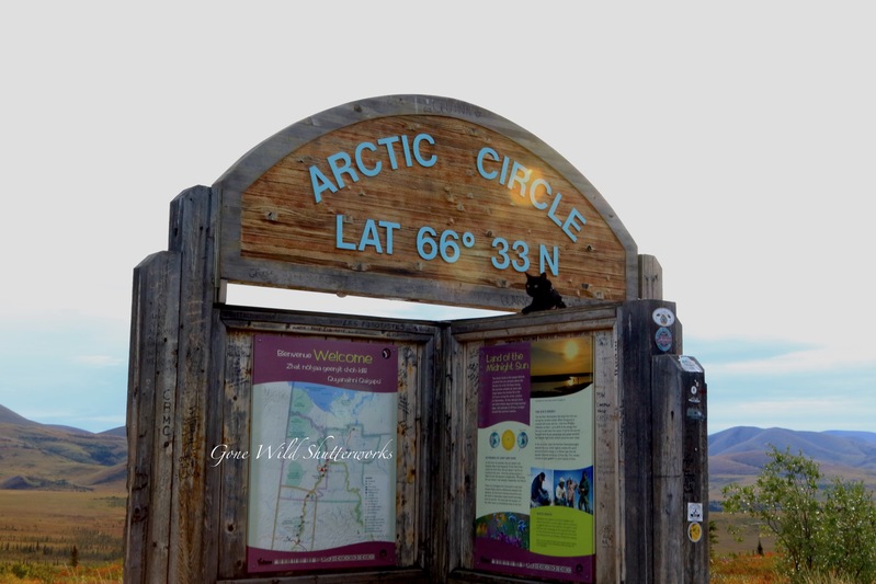 Yukon Alaska 2023 - 60 of 94.jpg