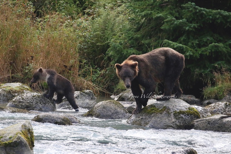 Yukon Alaska 2023 - 80 of 94(1).jpg