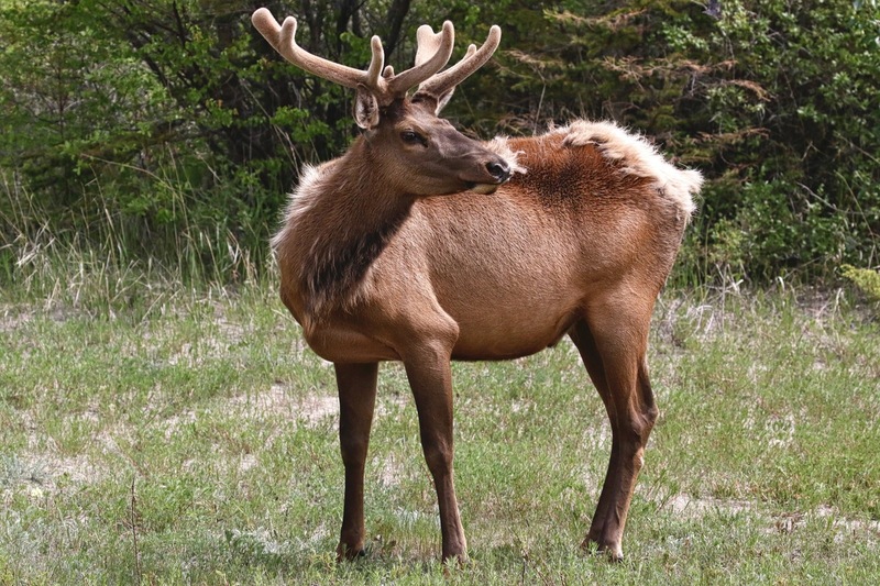 alberta 2022 - 115 of 157(1).jpg