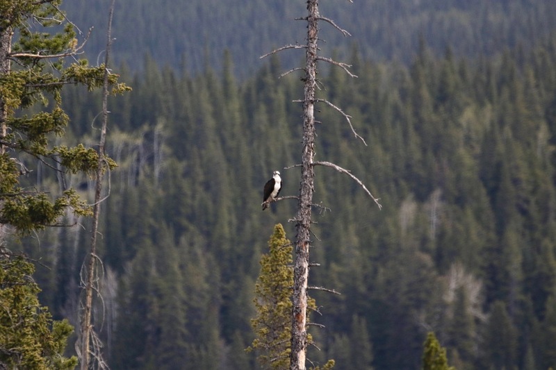 alberta 2022 - 58 of 157(1).jpg