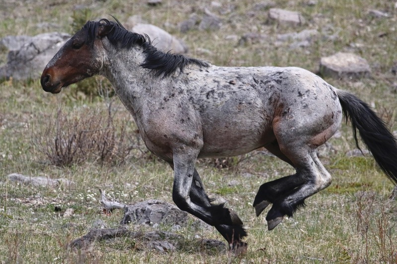alberta 2022 - 61 of 157.jpg