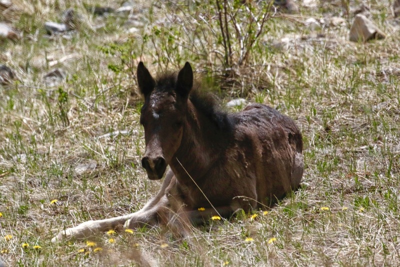 alberta 2022 - 74 of 167(1).jpg