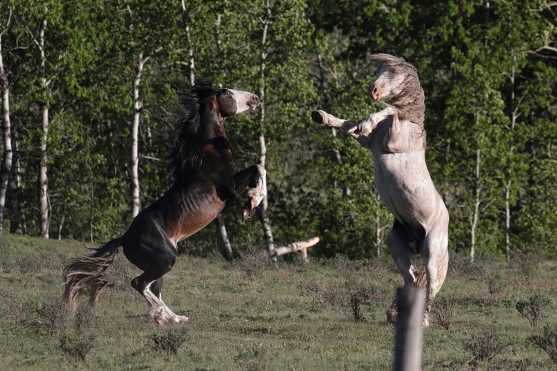 alberta2 2022 - 117 of 189(1).jpg