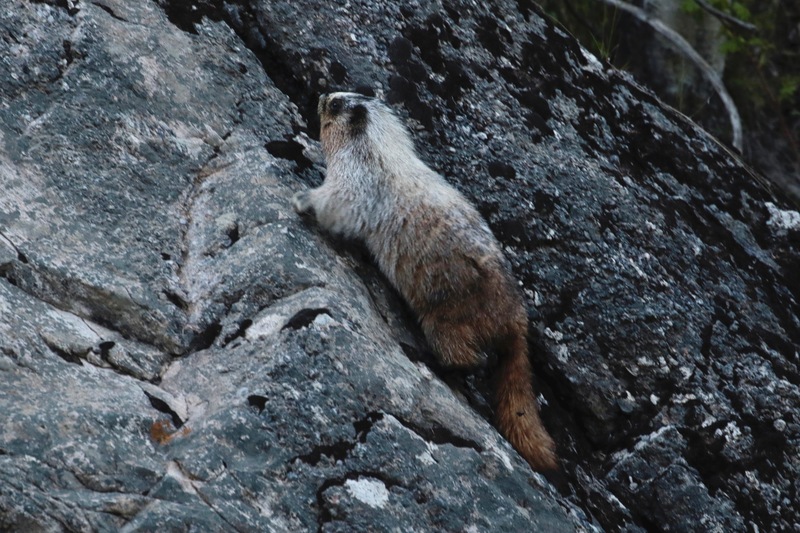 alberta2 2022 - 118 of 189(1).jpg