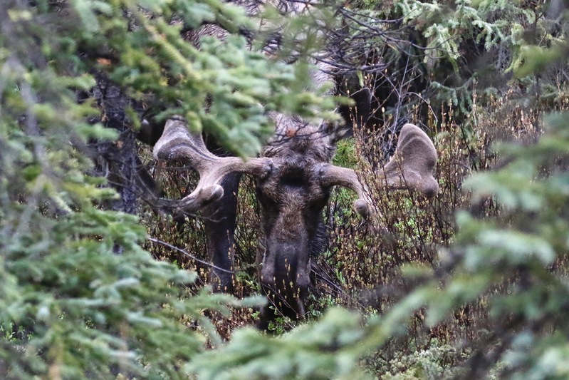 alberta2 2022 - 12 of 189.jpg
