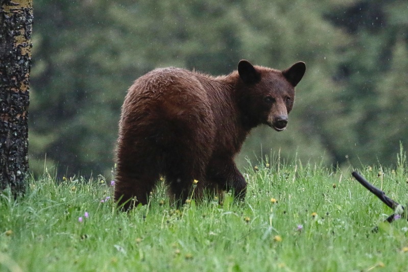 alberta2 2022 - 138 of 189.jpg