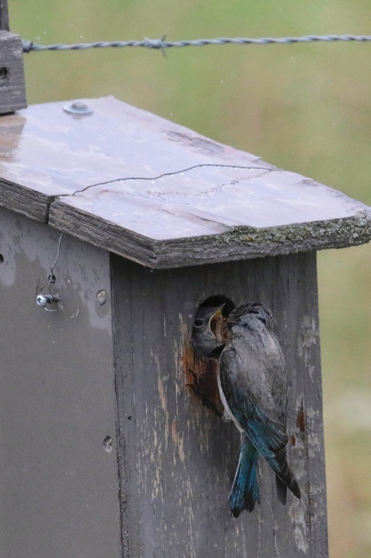 alberta2 2022 - 145 of 189.jpg