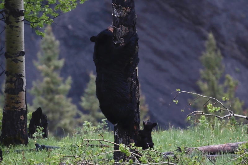 alberta2 2022 - 184 of 189.jpg