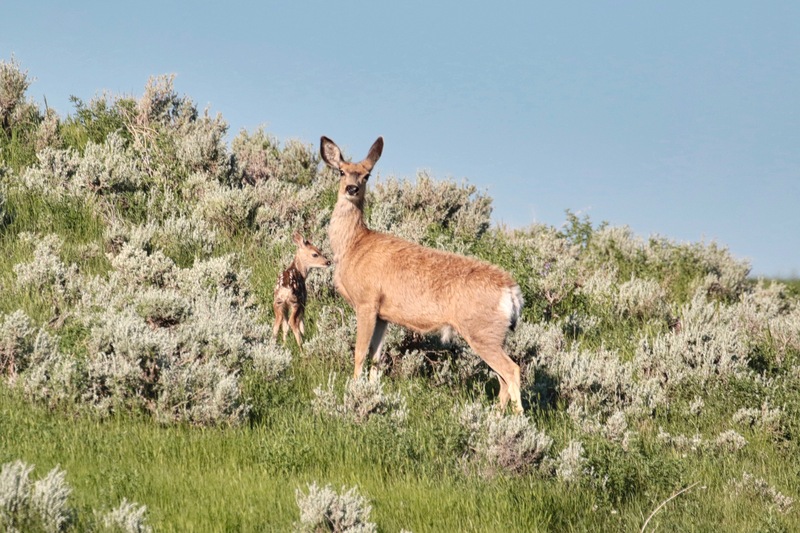 alberta2 2022 - 186 of 189(1).jpg