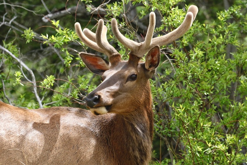 alberta2 2022 - 19 of 189.jpg