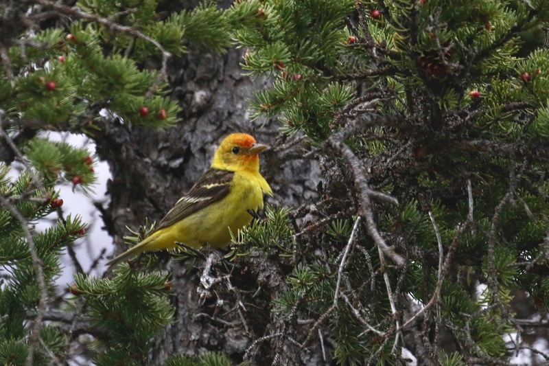 alberta2 2022 - 2 of 189.jpg
