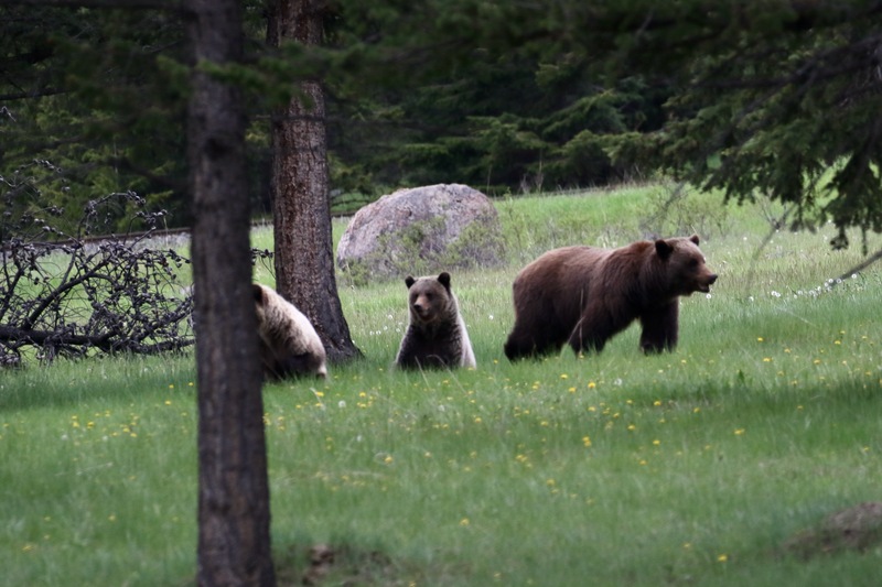 alberta2 2022 - 20 of 189.jpg