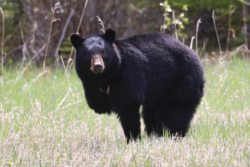 alberta2 2022 - 41 of 189.jpg