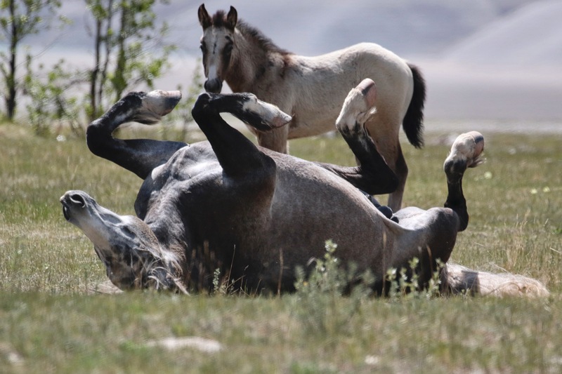 alberta2 2022 - 51 of 189.jpg