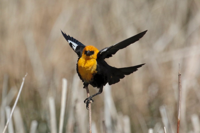 alberta2 2022 - 70 of 189.jpg