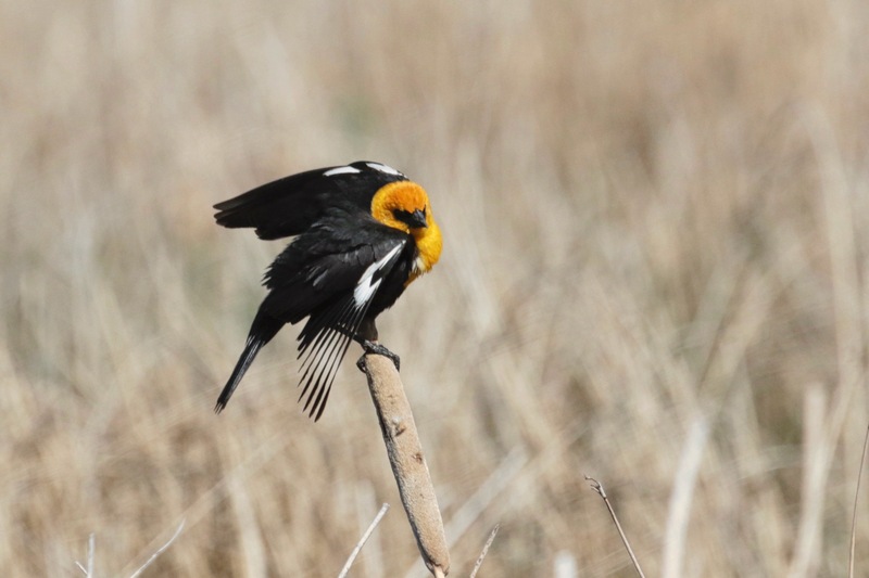 alberta2 2022 - 87 of 189.jpg