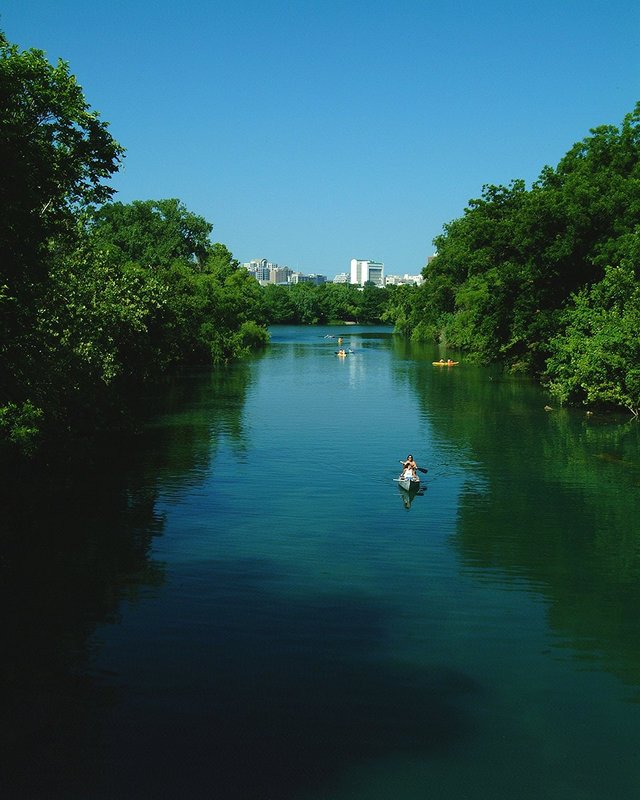 Barton springs.jpg