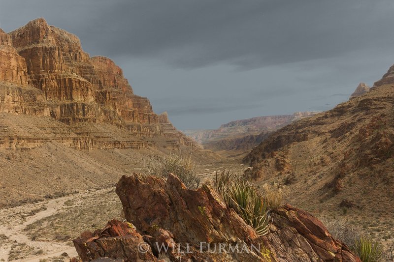 A DESERT MELODY - 14691.jpg