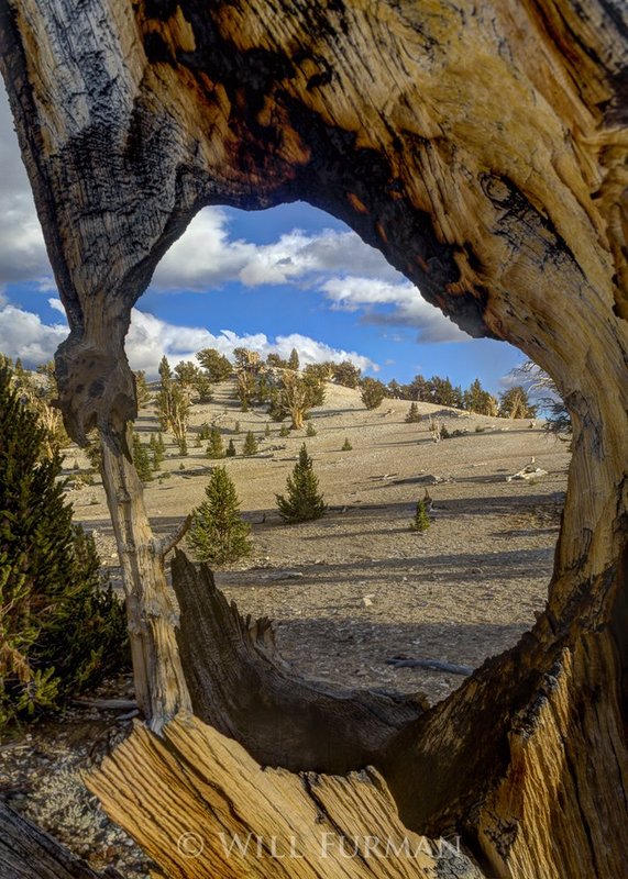 A DIFFERENT POINT OF VIEW  -  1522.jpg