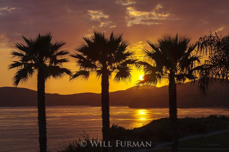 CALIFORNIA DREAMIN  -  1459.jpg