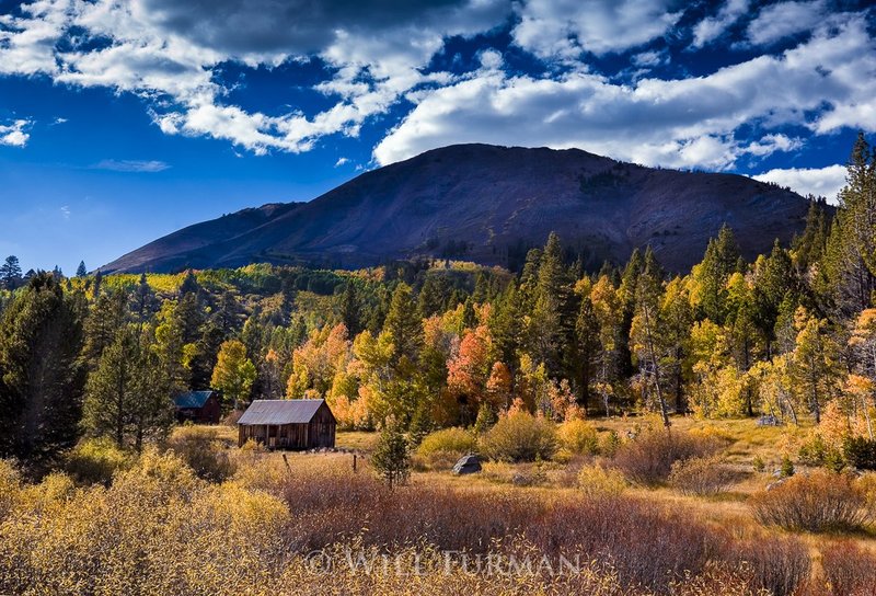 EARLY AUTUMN - 13591.jpg