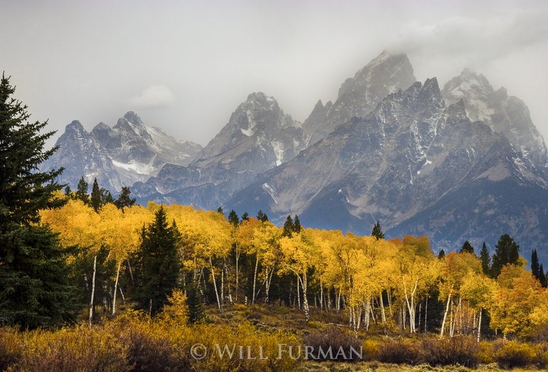 EARLY AUTUMN WALKS THE LAND  -  12561.jpg