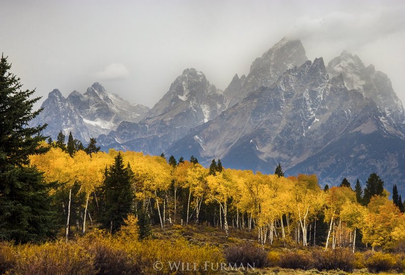 EARLY AUTUMN WALKS THE LAND - 1256.jpg