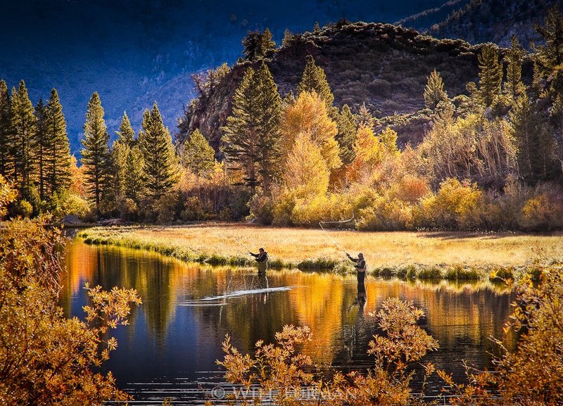 GONE FISHIN - 1358.jpg