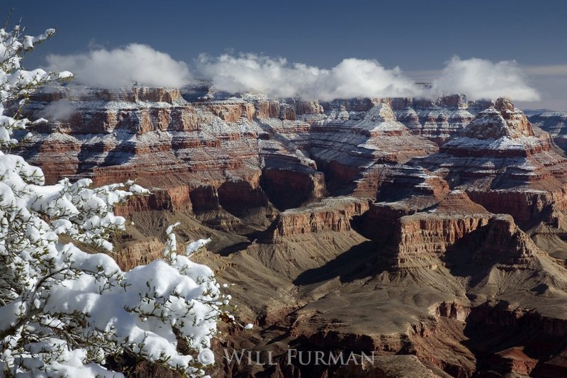 GRAND CANYON SUITE - WINTER - 1242.jpg