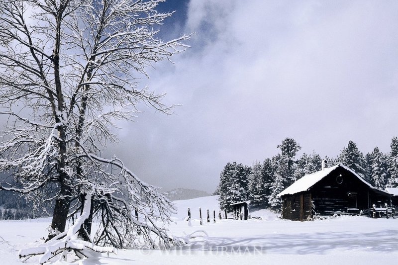HOME ON THE RANGE - 1134.jpg