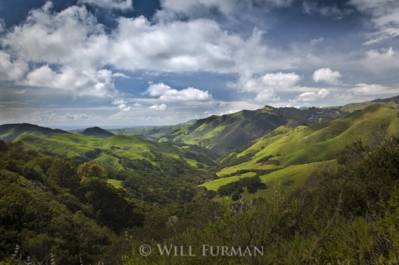 HOW GREEN WAS MY VALLEY - 1455.jpg