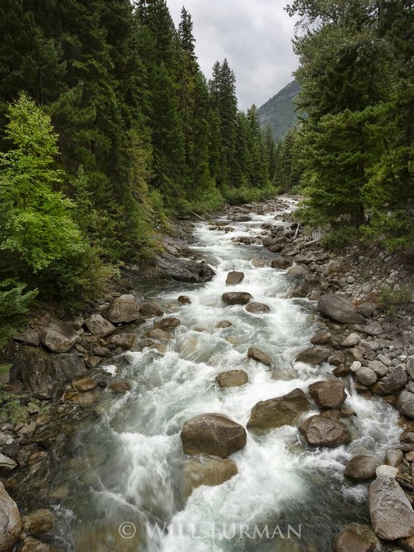 I CAN HEAR THE RIVER CALL - 1274.jpg