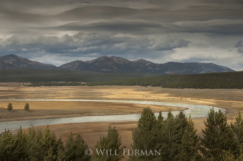 I WANT TO RIDE THROUGH THE WIDE OPEN COUNTRY - 1453.jpg