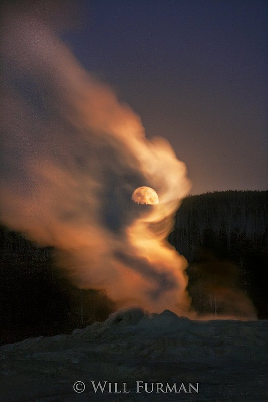 MOONGLOW - 1247-2.jpg