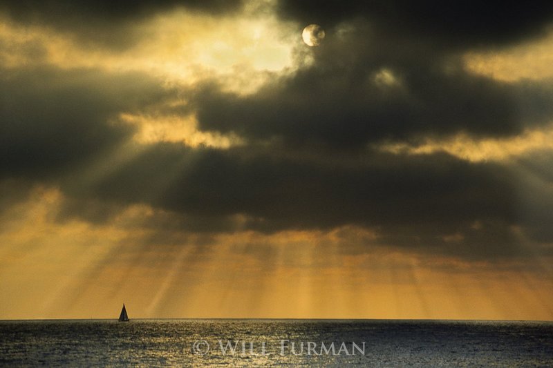 ON THE OCEAN ALONE - 1136.jpg