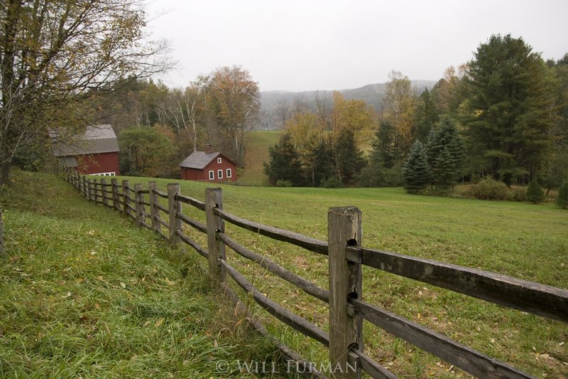 PEACE AND QUIET AND OPEN AIR - 1155_.jpg